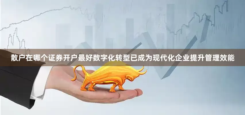 散户在哪个证券开户最好数字化转型已成为现代化企业提升管理效能