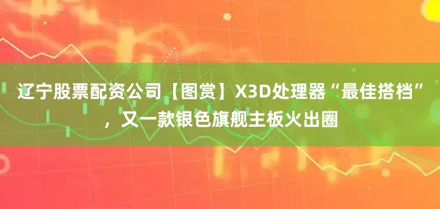 辽宁股票配资公司【图赏】X3D处理器“最佳搭档”，又一款银色旗舰主板火出圈